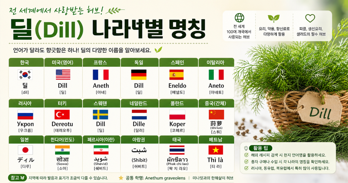 딜 허브 나라별 명칭
