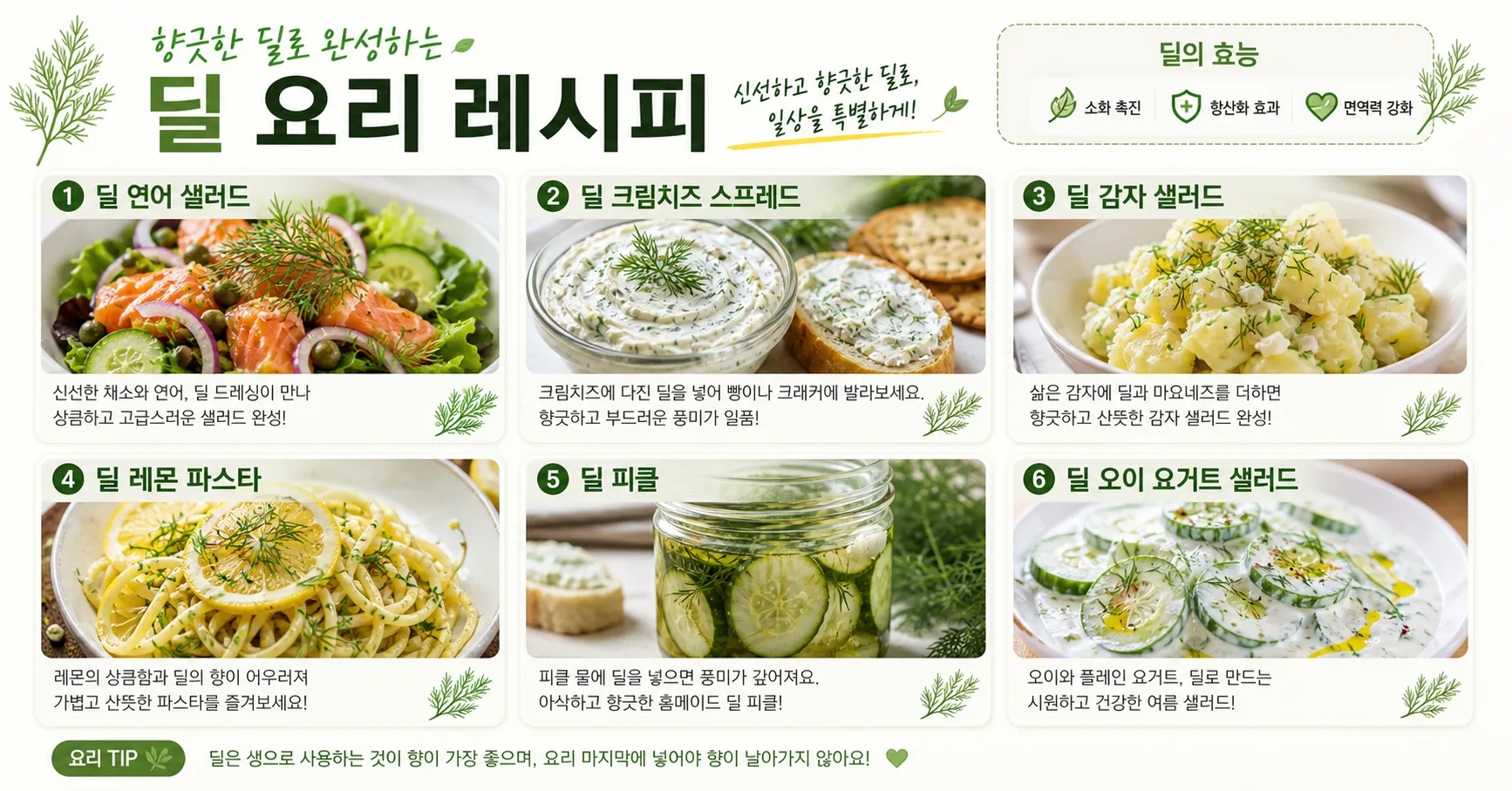 딜 허브 요리 레시피