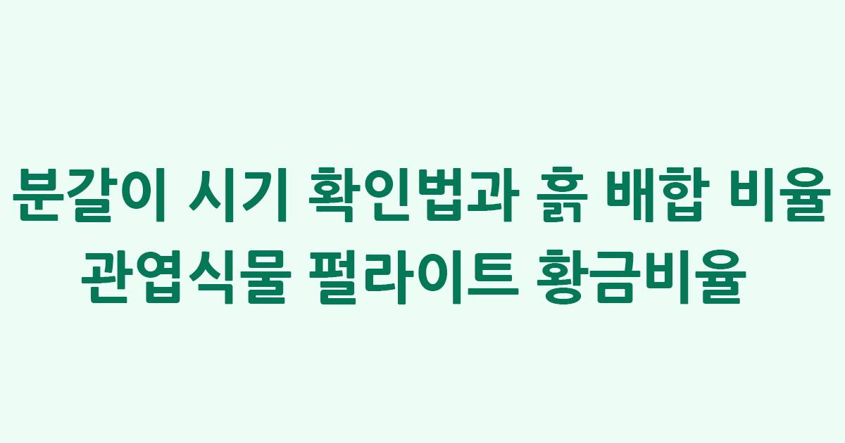 분갈이 시기 확인법과 흙 배합 비율