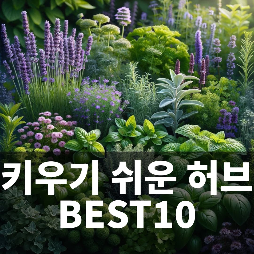 키우기 쉬운 허브 best10 가드닝홈센터