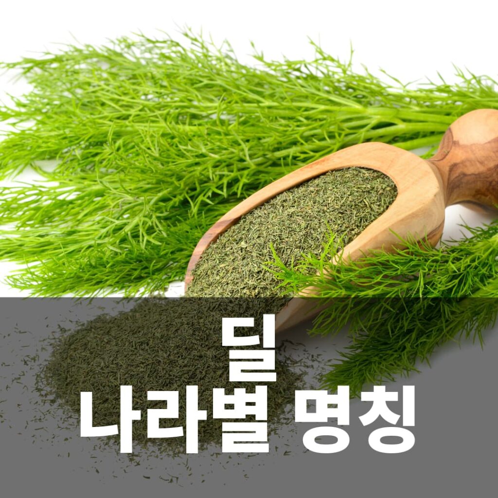 딜 허브 나라별 명칭