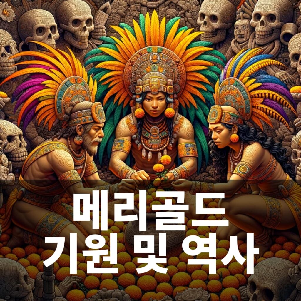 메리골드 의 기원 및 역사