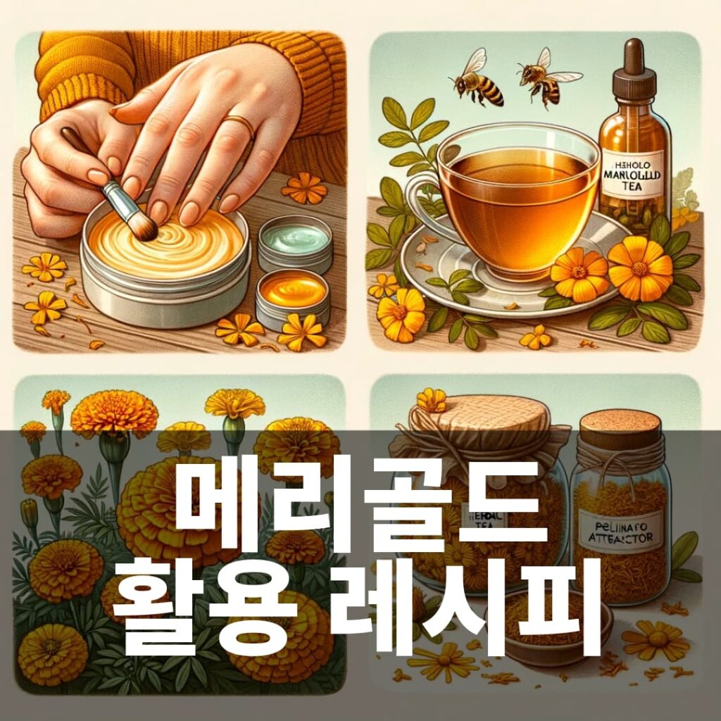 메리골드를 활용한 활용레시피