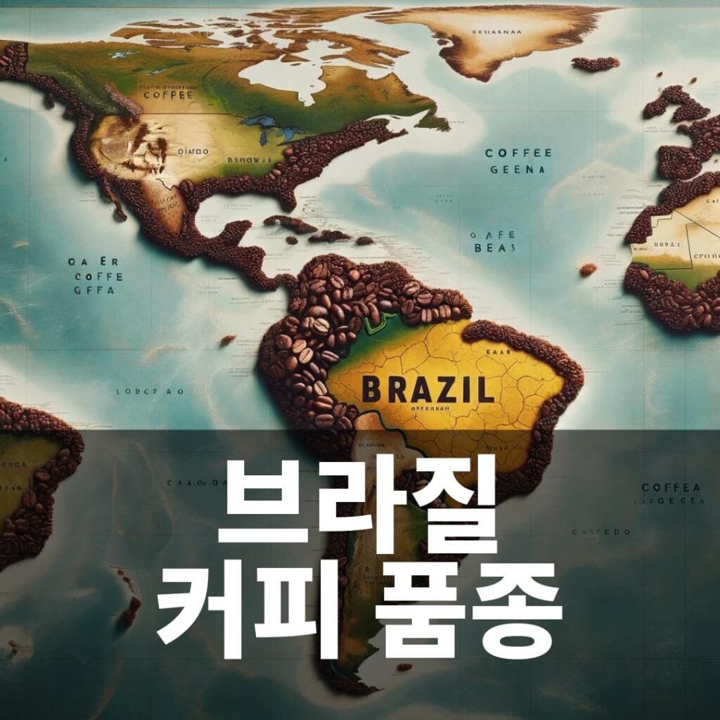 브라질 커피 품종 Brazilian coffee