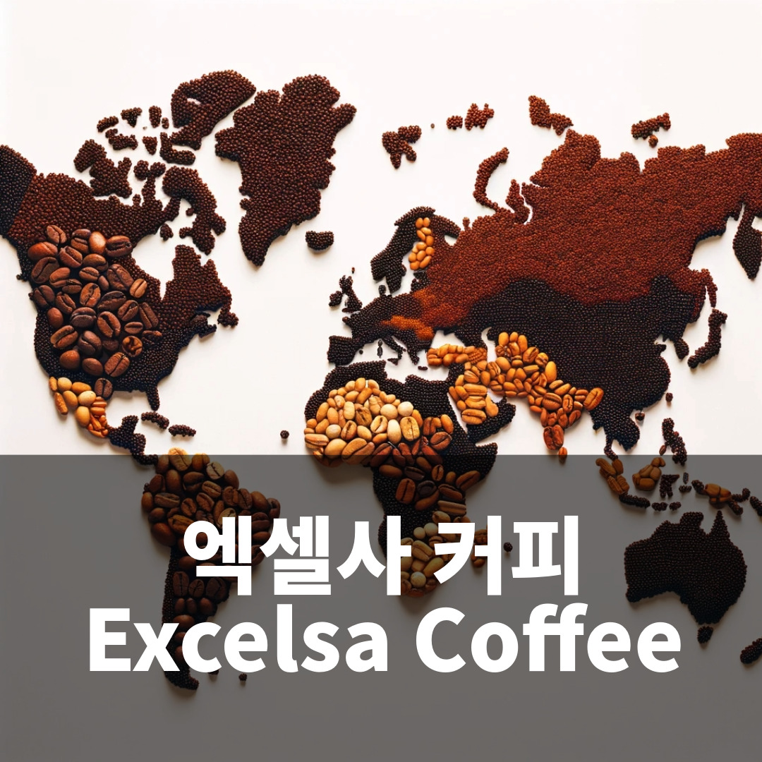 커피품종 엑셀사 커피 Excelsa Coffee