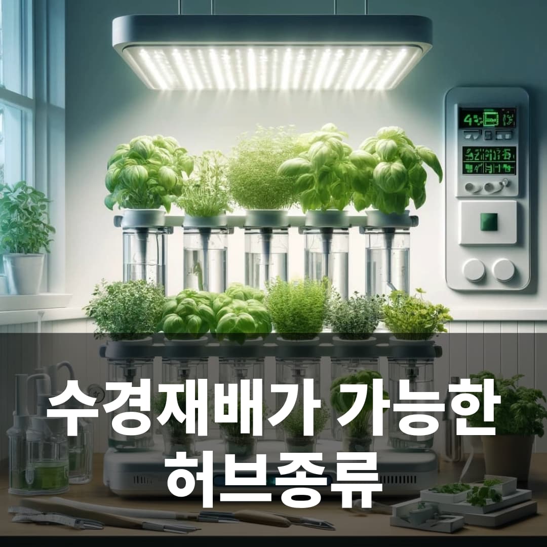 수경재배가 가능한 허브종류 - 가드닝홈센터