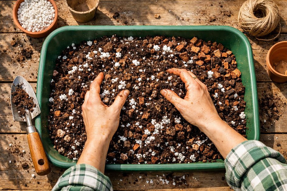 화분 흙 배합 비율