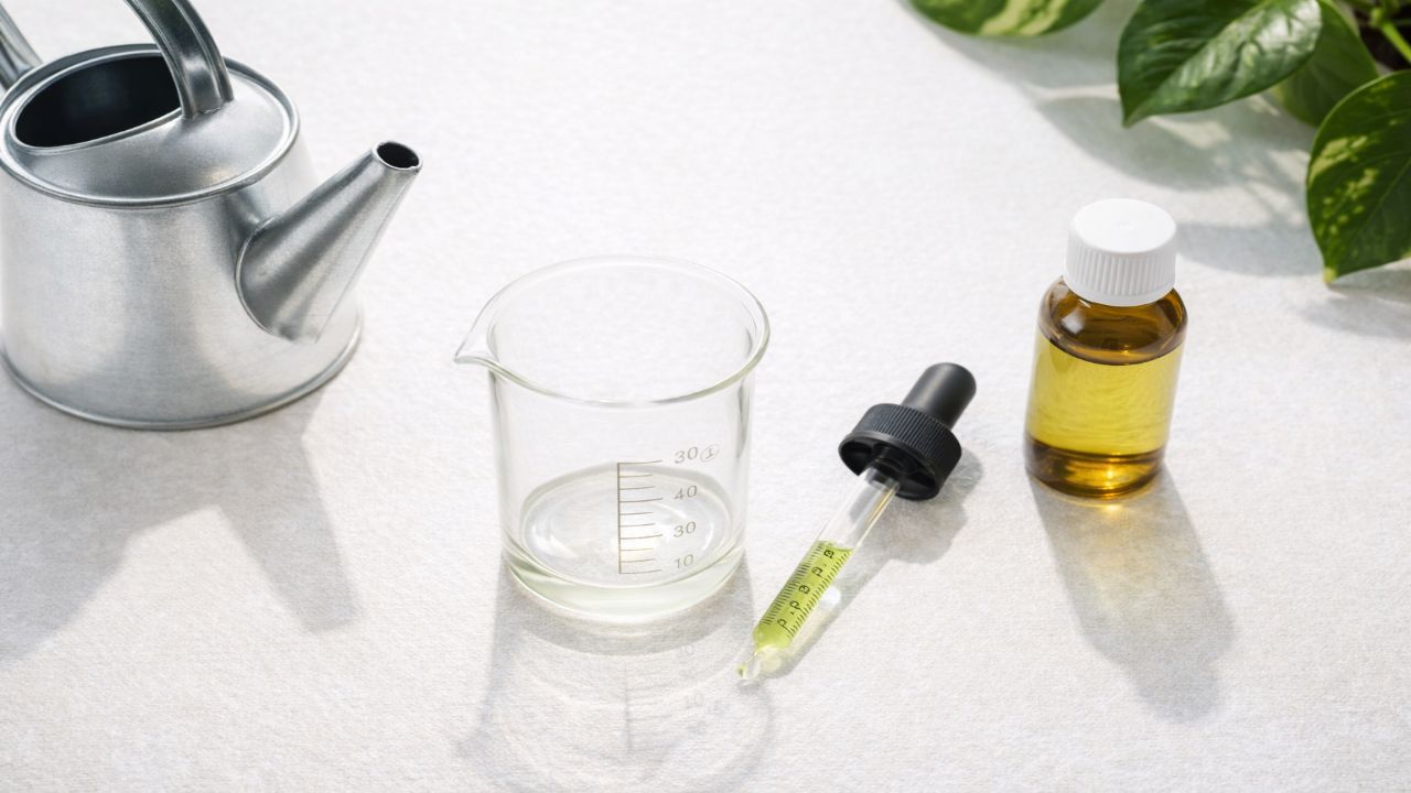 액체 식물 영양제 올바르게 희석하는 방법