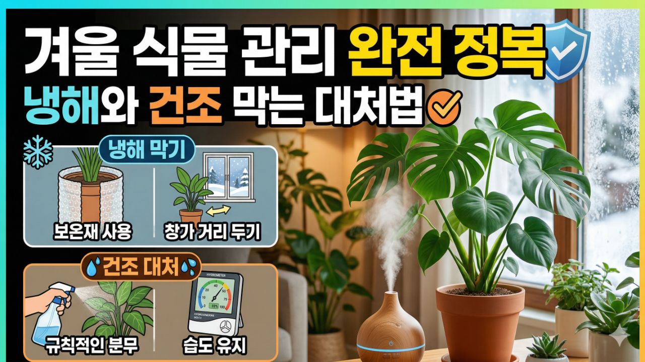 겨울 식물 관리 가이드와 쾌적한 실내 식물 모습