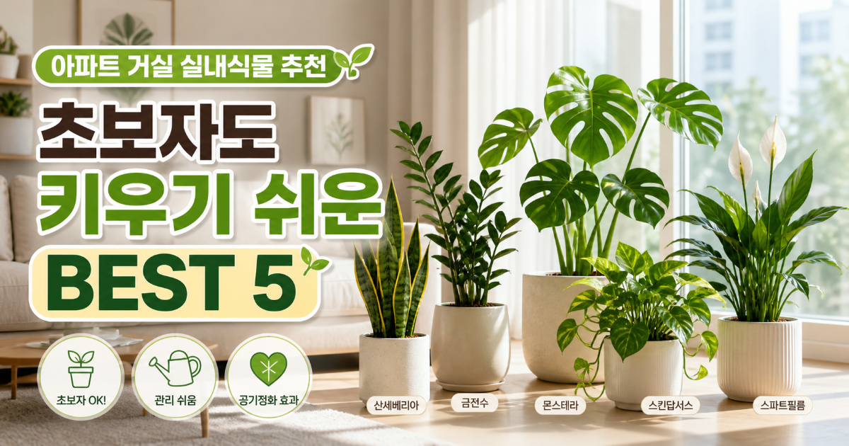 거실 실내식물 추천을 위해 아파트 채광 및 통풍을 확인하는 모습