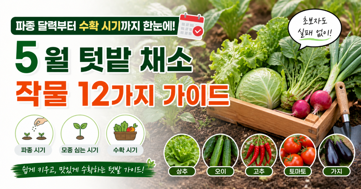 따뜻한 햇살을 받으며 싱그럽게 자라는 다양한 5월 텃밭 채소들의 모습