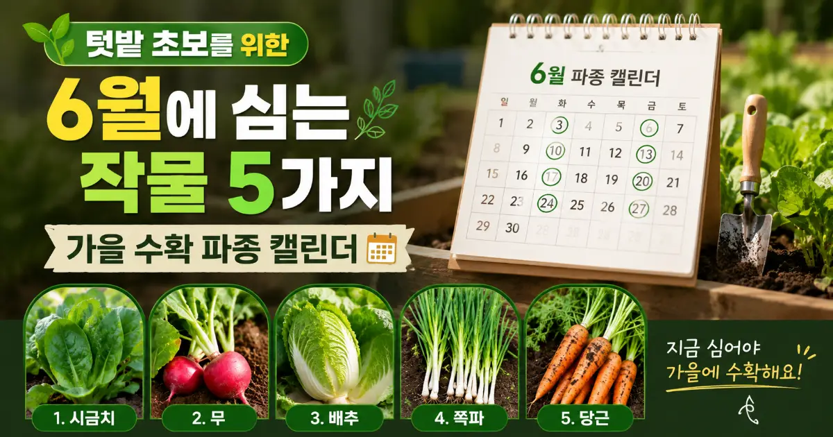 6월에 심는 작물 서리태 콩 파종